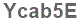 The text to enter in the texbox below is: Ycab5E